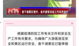 松原新闻爆料最新消息,重大事件引发社会关注