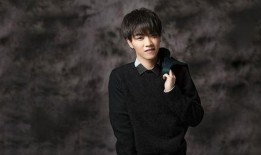 王俊凯郑爽最新爆料,揭秘娱乐圈背后的真相与情感纠葛