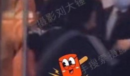 狗仔刘大锤爆料最新视频,最新视频揭秘娱乐圈惊人内幕！
